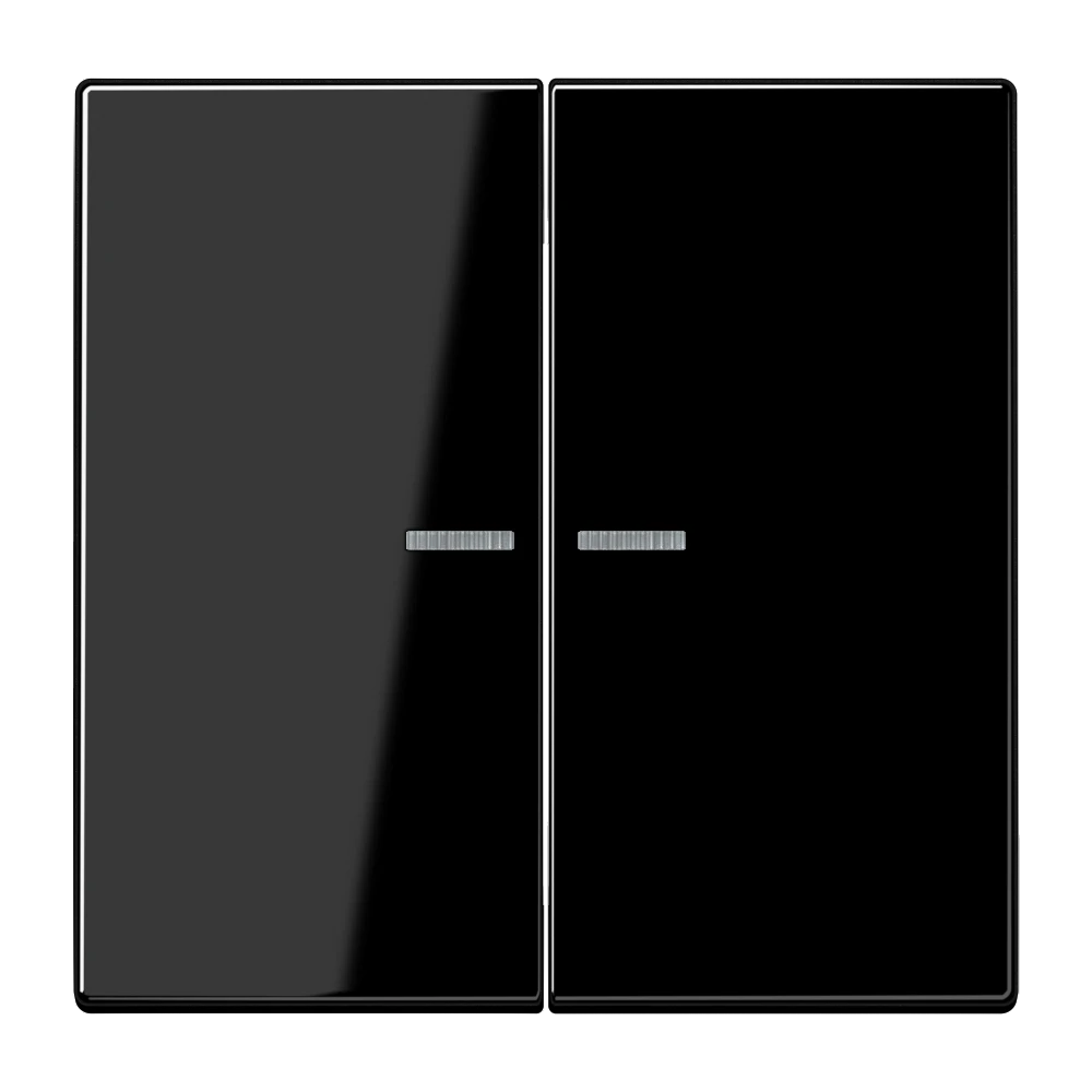 Jung Jung KNX RF Taster 2-fach Duroplast, Serie LS LS 10921 ST RF SW