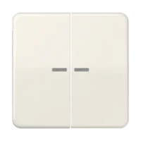 Jung KNX RF Taster 2-fach Duroplast, Serie CD CD 10921 ST RF