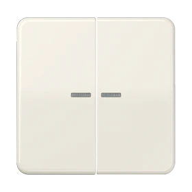 Jung Jung KNX RF Taster 2-fach Duroplast, Serie CD CD 10921 ST RF