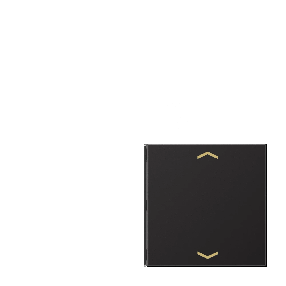 Jung Jung Taste 4-fach Symbole Auf/Ab AL 2404 TSAP D 14