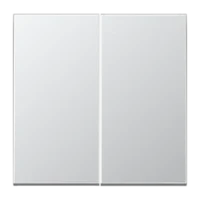 Jung Steuertaste 2-fach Standard AL1702