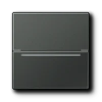 Jung Hotelcard-Schalter RFID AL CARD RFID AN