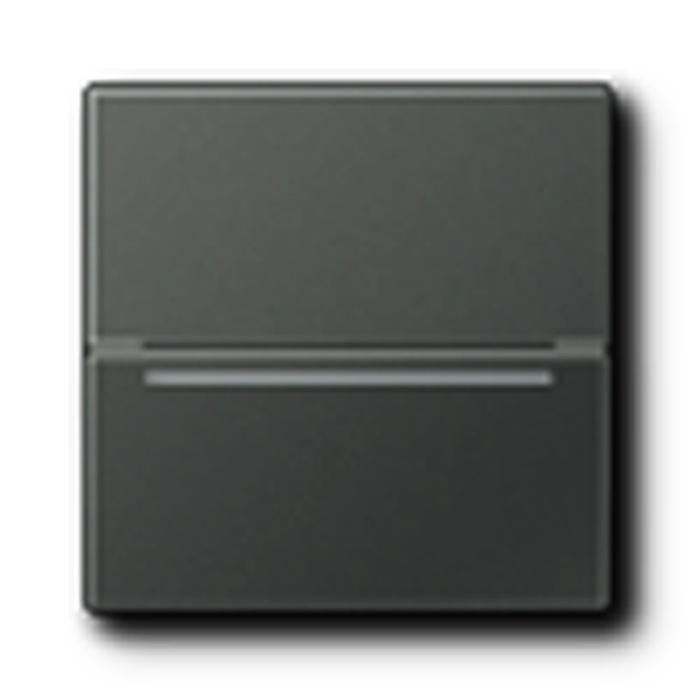 Jung Jung Hotelcard-Schalter RFID AL CARD RFID AN