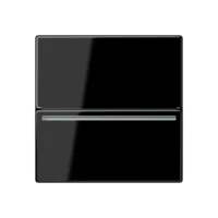 Jung Hotelcard-Schalter RFID A CARD RFID SW