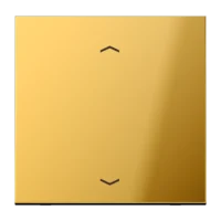 Jung Steuertaste Standard Symbole Pfeile GO 1700 P