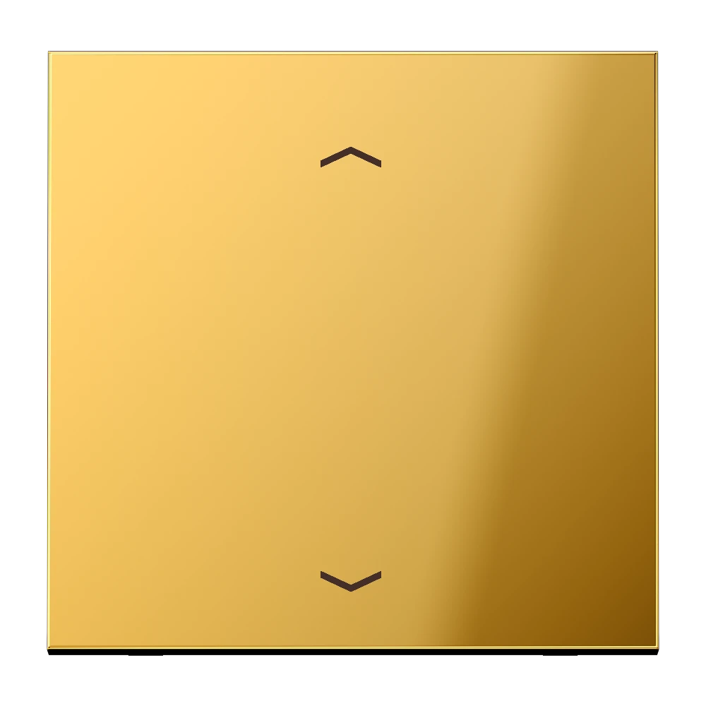 Jung Jung Steuertaste Standard Symbole Pfeile GO 1700 P