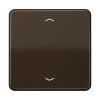 Jung Steuertaste Standard Symbole Pfeile CD 1700 P BR