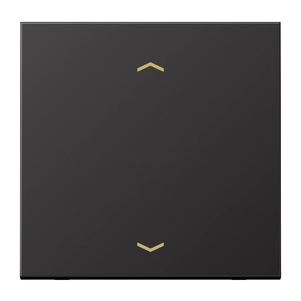 Jung Jung Steuertaste Standard Symbole Pfeile AL 1700 P D