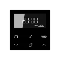 Jung Timer Standard, Display Echtglasfront A 1750 D SW