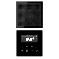 Jung Smart DAB+ Digitalradio Set Mono, Serie LS, schwarz, DAB LS1 SW