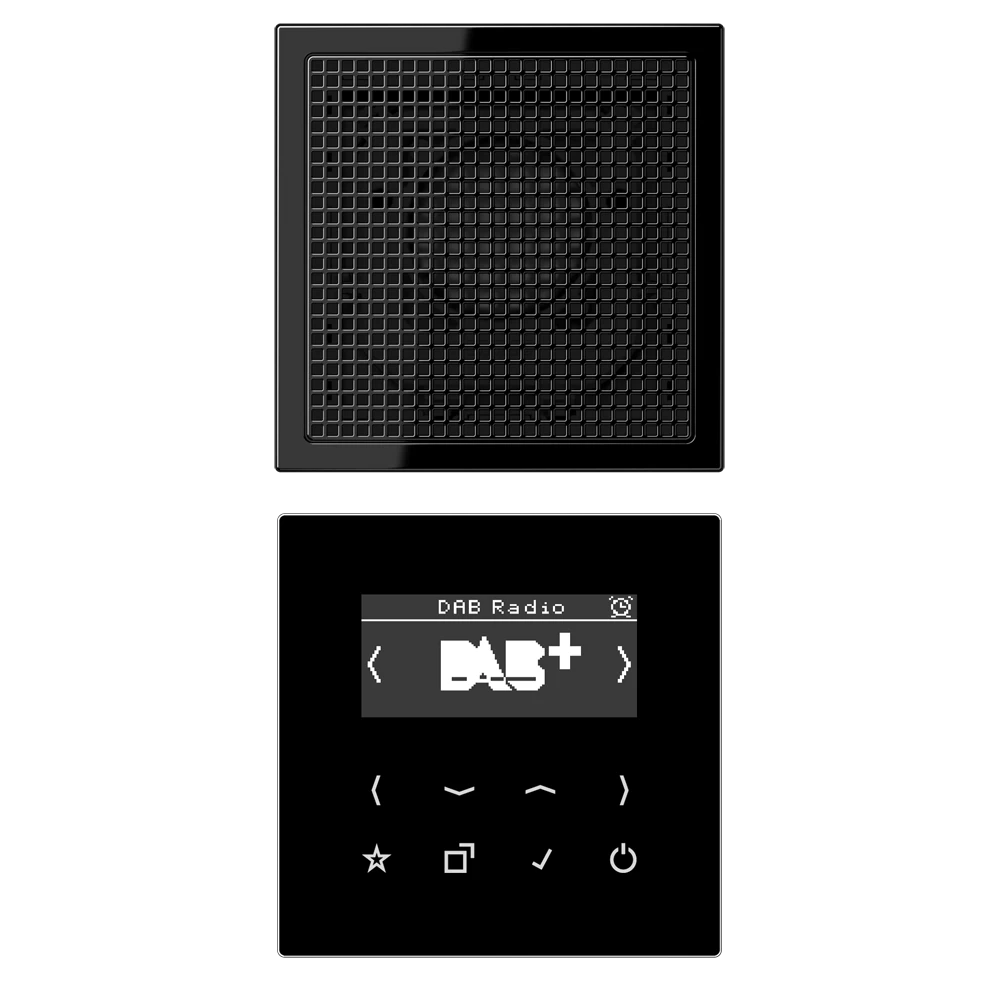 Jung Jung Smart DAB+ Digitalradio Set Mono, Serie LS, schwarz, DAB LS1 SW