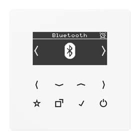 Jung Jung Smart DAB+ Digitalradio Bluetooth UKW, DAB+ DAB LS BT WW