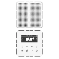 Jung Smart DAB+ Digitalradio Display, SetMono,1LS DAB CD1 WW