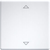 Eltako Wippe lasergraviert für 55x55mm reinweiß W-FT55-rw+2P