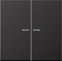 Jung KNX RF Taster 2-fach Aluminium lackiert AL 10921 ST RF D