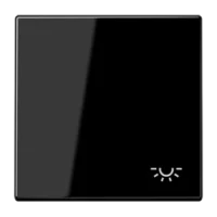 Jung Wippe Symbol LICHT schwarz für Taster LS 990 L SW