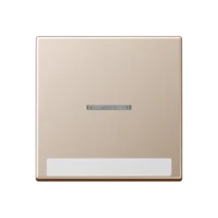 Jung Wippe mit Schriftfeld 1-fach champagner A 590 BF NA KO5 CH