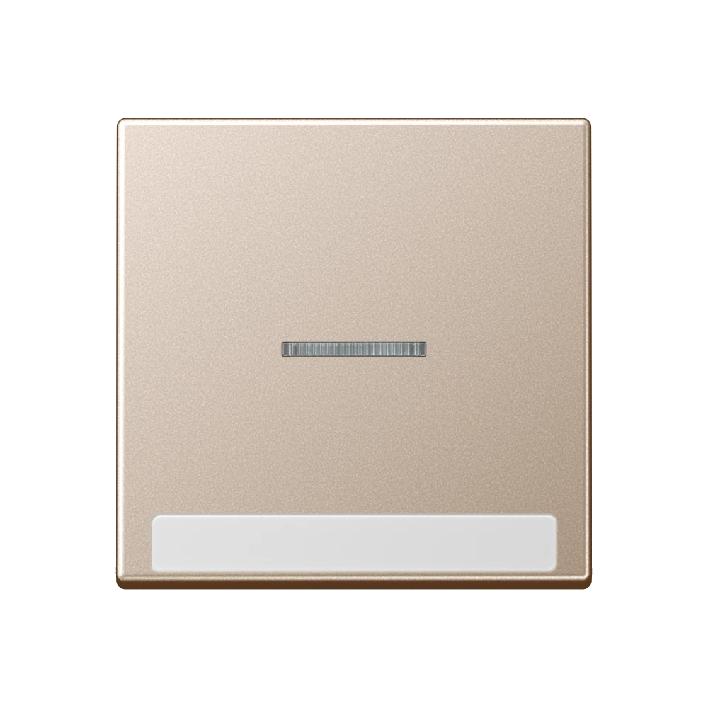 Jung Jung Wippe mit Schriftfeld 1-fach champagner A 590 BF NA KO5 CH