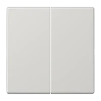 Jung Wippe für Serientaster LS102LG