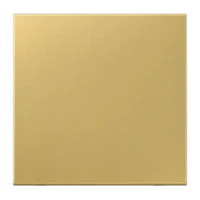 Jung Steuertaste Standard ME 1700 C
