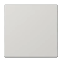 Jung Steuertaste Standard LS 1700 LG
