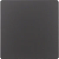 Berker Zentralplatte anthrazit 75940485