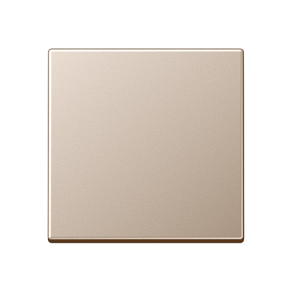 Jung Jung Steuertaste Standard A 1700 CH