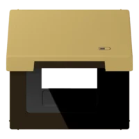 Jung Klappdeckel Symbol USB-Ladegerät ME 2990 KL USB C