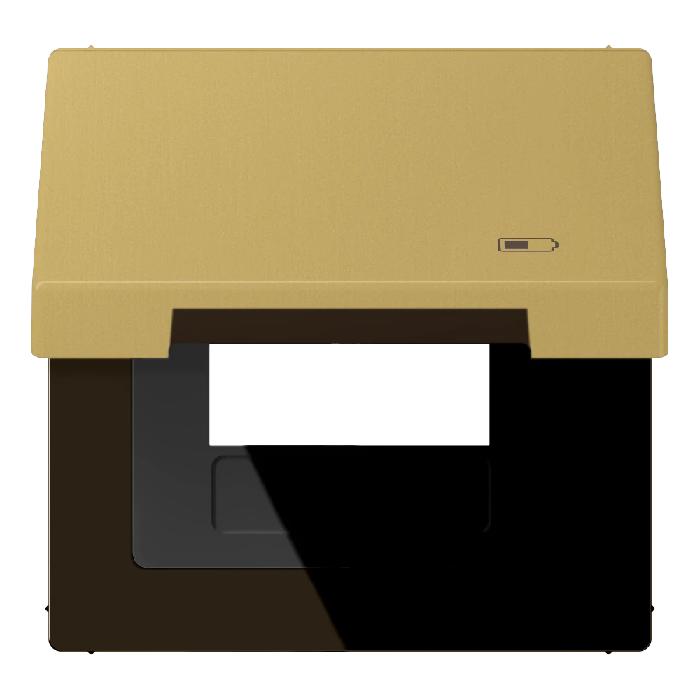 Jung Jung Klappdeckel Symbol USB-Ladegerät ME 2990 KL USB C