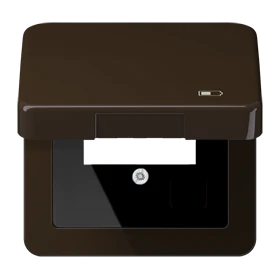 Jung Jung Klappdeckel Symbol USB-Ladegerät CD 590 KL USB BR