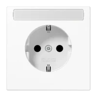 Jung SCHUKO-Steckdose 16A 250V Schriftfeld bruchsi. LS 1520 BFNA WW