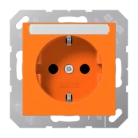 Jung SCHUKO-Steckdose 16A 250V Schriftfeld bruchsi. A 1520 BFNA O