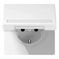 Jung SCHUKO-Steckdose 16 A 250V mit Klappdeckel bruchs LS 1520 BFNAKL WW