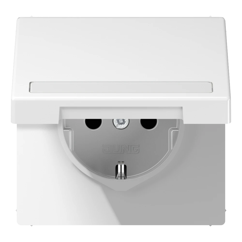 Jung Jung SCHUKO-Steckdose 16 A 250V mit Klappdeckel bruchs LS 1520 BFNAKL WW