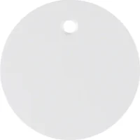 Berker Zentralstück pows/gl für Zugschalter/taster 11462089