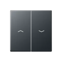 Jung Wippe Symbole Pfeile 2-f anthrazit matt A 595 BF P ANM