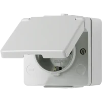 Jung SCHUKO-Steckdose 16A 250V 620 W