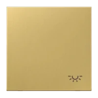 Jung Wippe Symbol LICHT Mess/clas für Taster ME 2990 L C