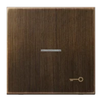 Jung Wippe Symbol TÜR Mess/antik für beleuchtbar Taster ME 2990 KO5T AT