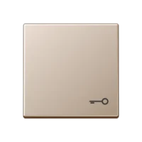 Jung Wippe Symbol TÜR champ für Taster A 590 T CH