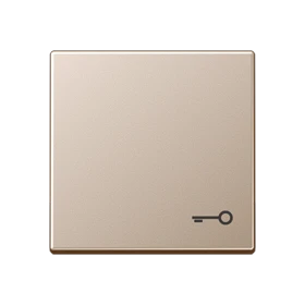Jung Jung Wippe Symbol TÜR champ für Taster A 590 T CH