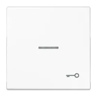 Jung Wippe Symbol TÜR/Lichtl alpinweiß für beleuchtbar Taster LS 990 KO5T WW