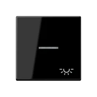 Jung Wippe Symbol LICHT schwarz für Kontrollschalter A 590 KO5L SW