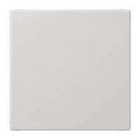 Jung Blind-Abdeckung lgr kompl mit Tragring LS 994 B LG