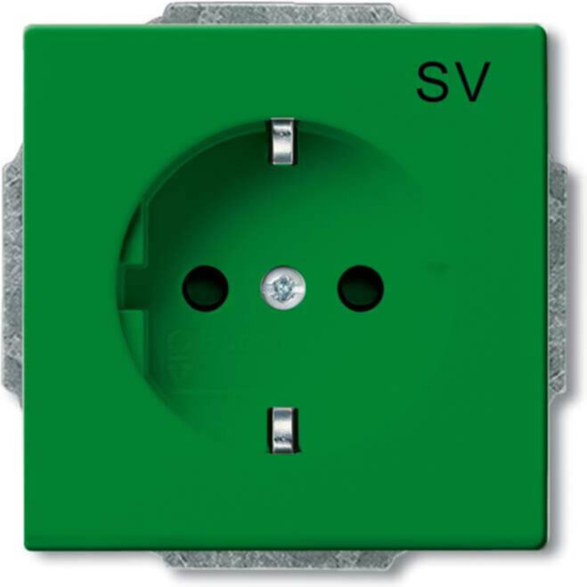 Busch-Jaeger Busch-Jaeger SCHUKO Steckdosen-Einsatz grün RAL6032 20 EUCB-13-82-102