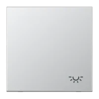 Jung Wippe Symbol LICHT alu für Taster AL 2990 L
