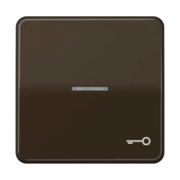 Jung Wippe Symbol TÜR/Lichtl br für beleuchtbar Taster CD 590 KO5T BR