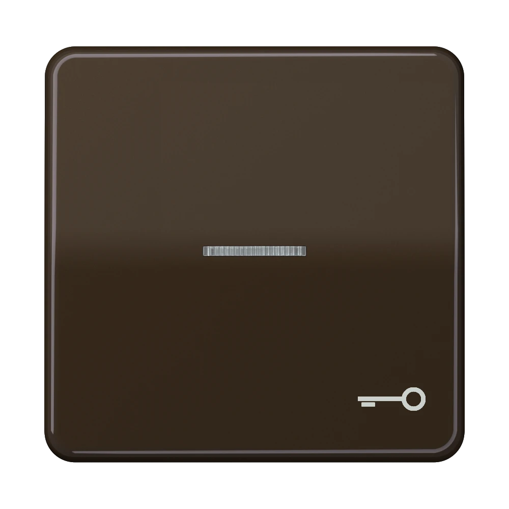 Jung Jung Wippe Symbol TÜR/Lichtl br für beleuchtbar Taster CD 590 KO5T BR
