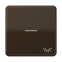 Jung Wippe Symbol LICHT/Lichtl br für beleuchtbar Taster CD 590 KO5L BR
