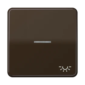 Jung Jung Wippe Symbol LICHT/Lichtl br für beleuchtbar Taster CD 590 KO5L BR